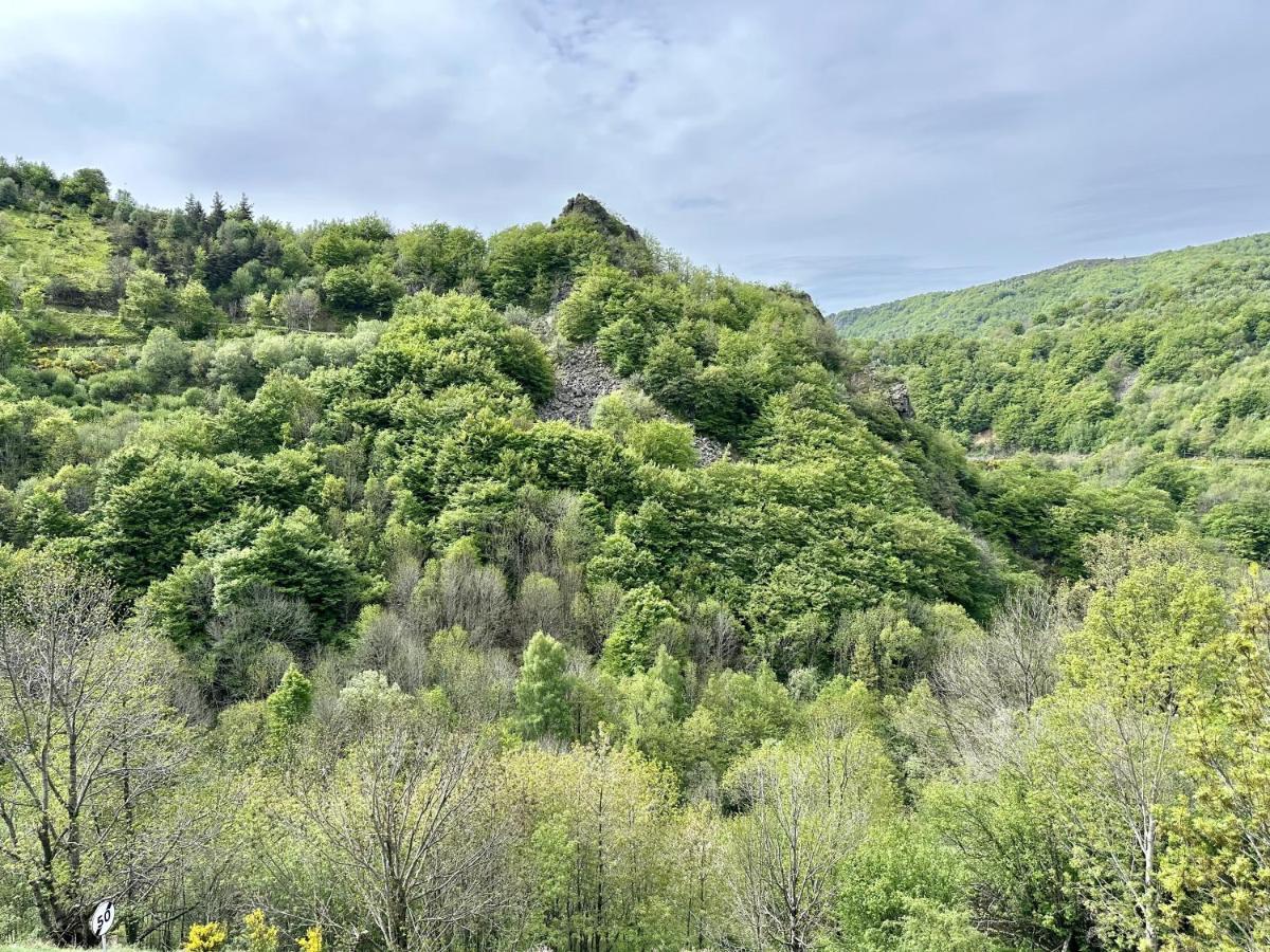 Gite De Noe Au Ray-Pic Pereyres Kültér fotó