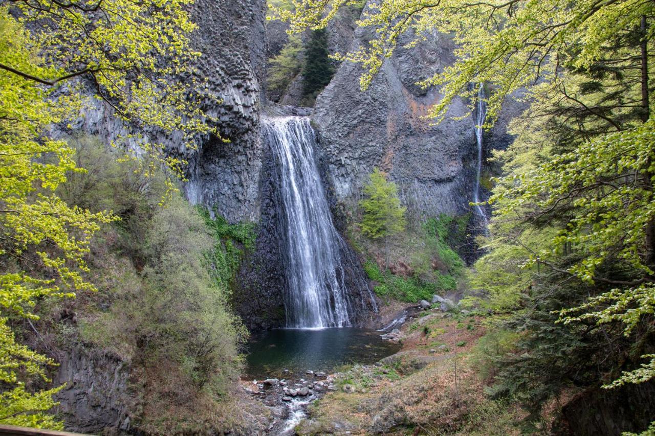 Gite De Noe Au Ray-Pic Pereyres Kültér fotó