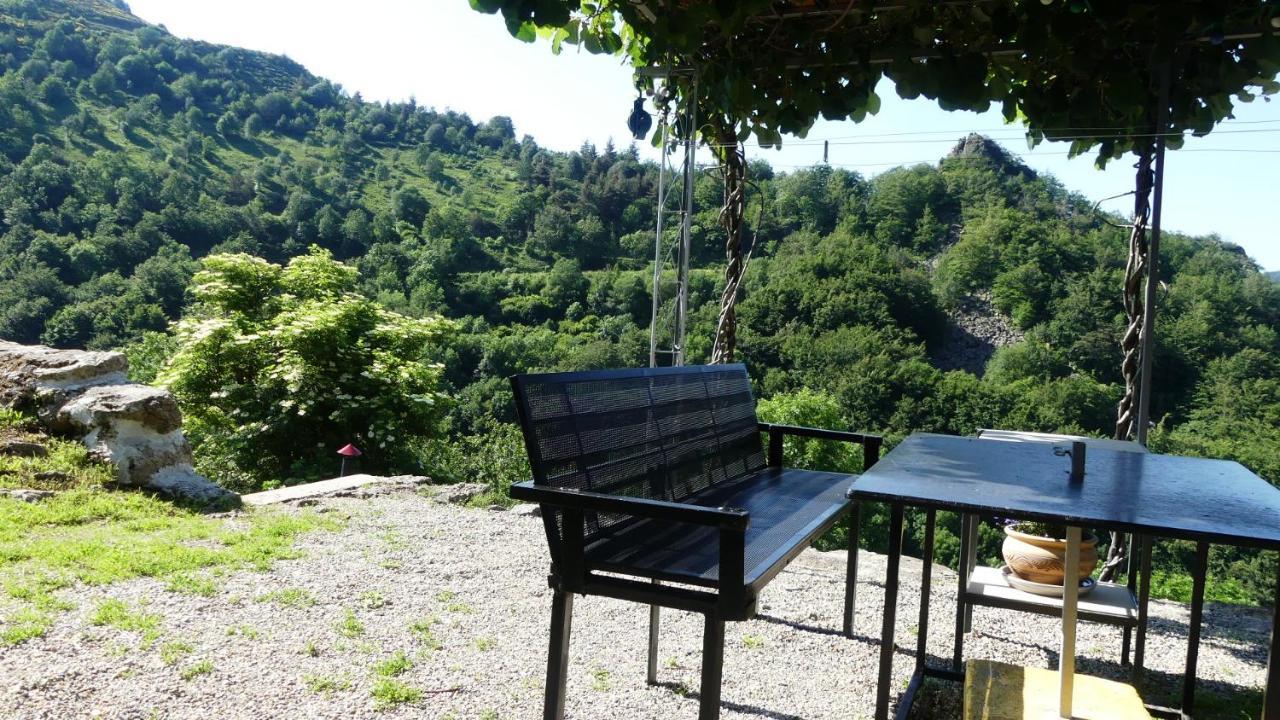 Gite De Noe Au Ray-Pic Pereyres Kültér fotó